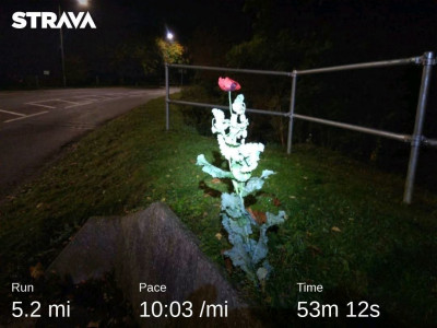 Run 09/10/2020