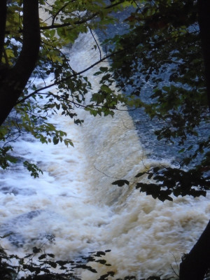 The leaping trout<br />(well hardly likely to capture the leaping trout I saw, but this is where I saw it!)