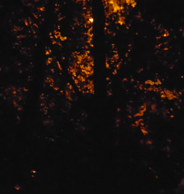 October Evening glow