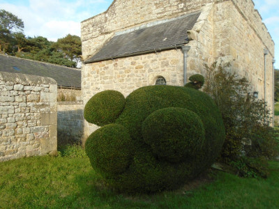 The Topiary Pig