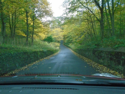 Autumn country drive 1