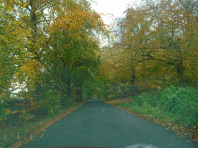 Autumn country drive 2