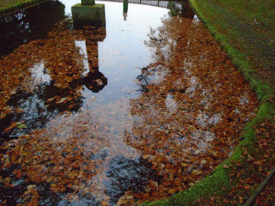 Autumn leaf raft