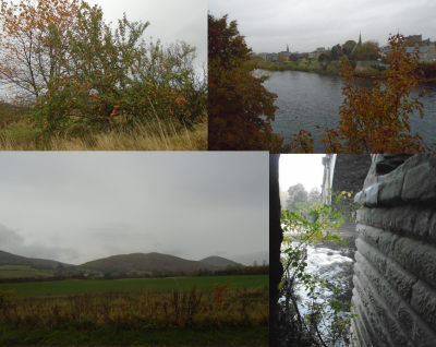 A damp day in the borders!