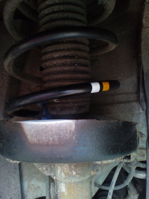 IMG_20201117_111159.jpg