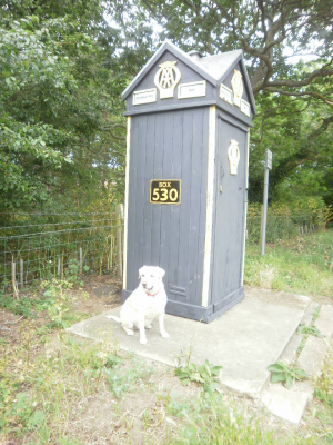 The Brancaster Box!