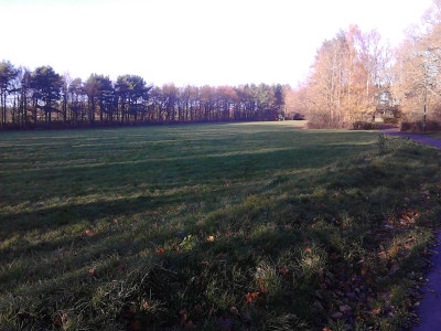 IMG_20201125_134137.jpg