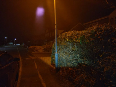 Hedge no more...