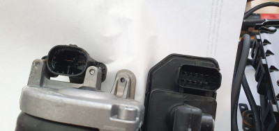 20201215_122109.jpg