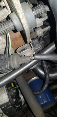 Here you can just make out the x2 green &amp; x1 beige wire that goes to the injection pump. 1 of the green wires is black after exiting the 3v noir plug.