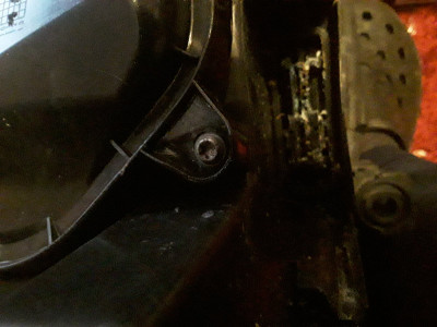 20201216_144529.jpg