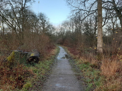 Linford Wood