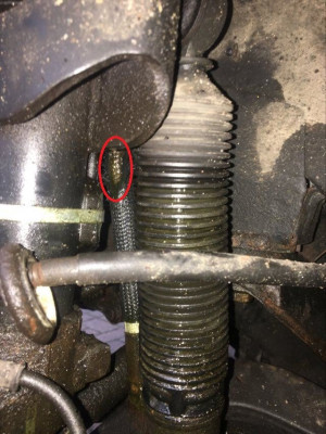 Skull's - Front Ram Hose