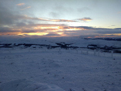 IMG_20210102_085553878.jpg