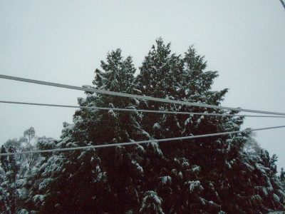 white lines