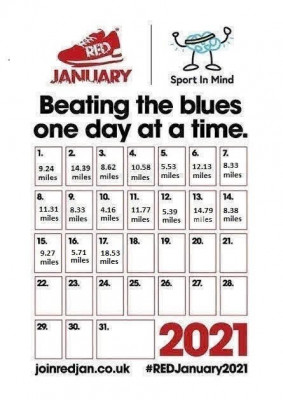 RED January Progress