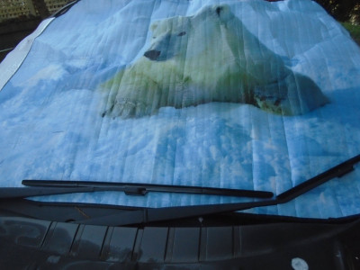 BB Leaf with Lidl's finest Polar Bear