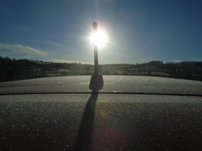 solar powered leaf