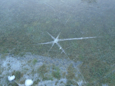 The damage to 2&quot; thick ice caused by a human cheek bone