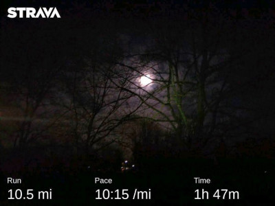28th January Morning Run