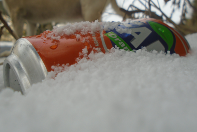 Orange things in snow Number 2