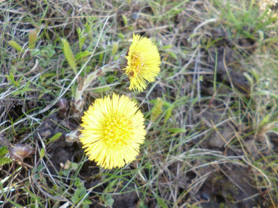 P1070633.JPG