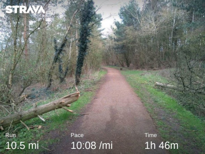 run140321.jpg