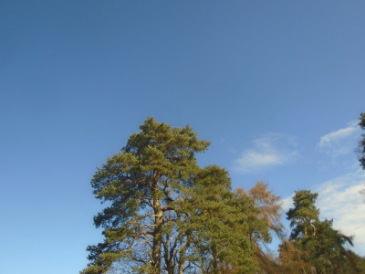 DSC05296.JPG