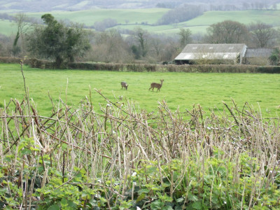 DSCF2905.JPG