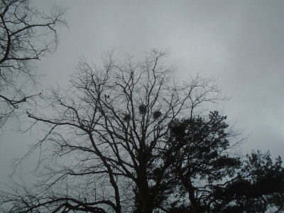 DSC05308.JPG