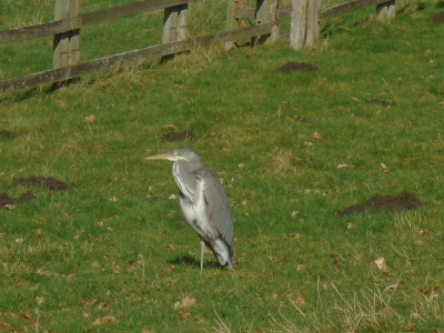 DSC05278.JPG
