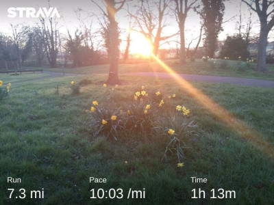 strava2704245683182558248.jpg