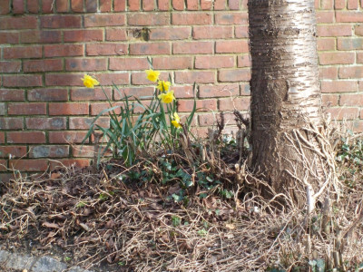 DSCF3186.JPG