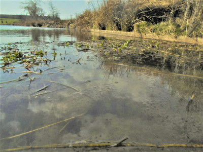 Lake at Kirkharle