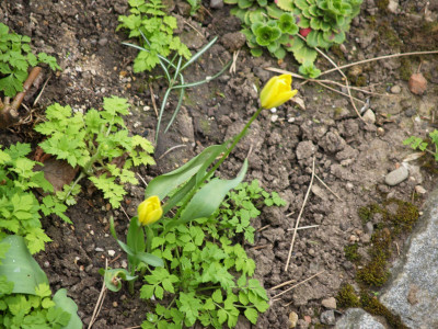 AA010414.JPG