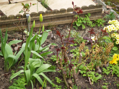 AA010415.JPG