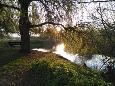 During my morning run...