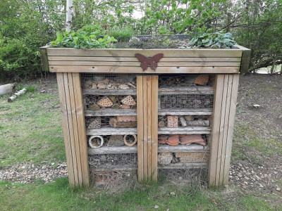 The Bug Hotel!