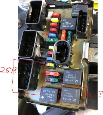 BSM L02 RL1. conn 26Y.JPG