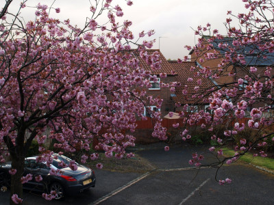 AA290424.JPG