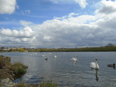 on a nice day in Spring the blue skies and the fluffy white clouds are gorgeous