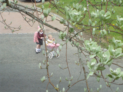 DSCF3209.JPG