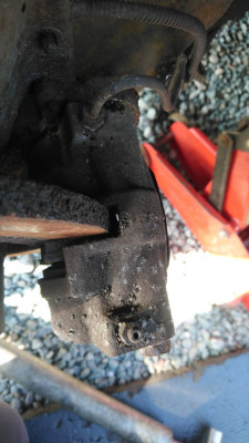 IMG-20210416-WA0004.jpeg