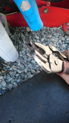 IMG-20210501-WA0005.jpeg