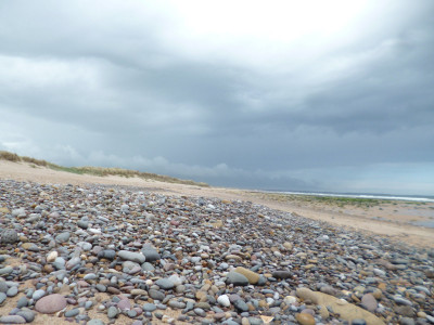 ... On the Beach