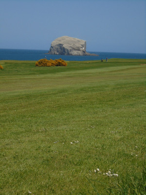 It was still sunny up at the Bass Rock a few days later