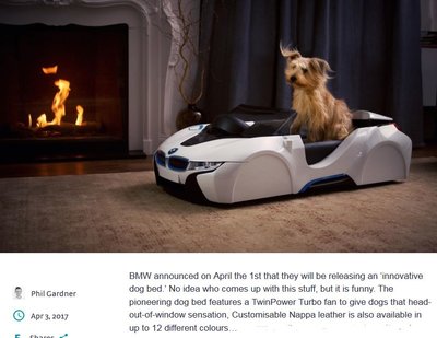 DogBed.JPG