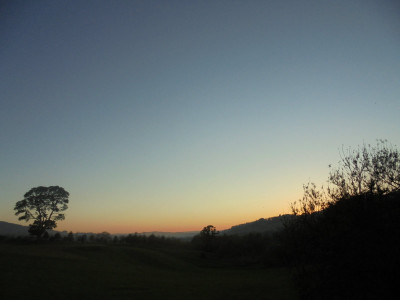 Picture of the evening