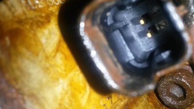 20170726_183244.jpg