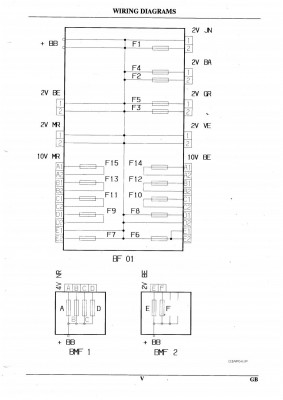 p5.jpg